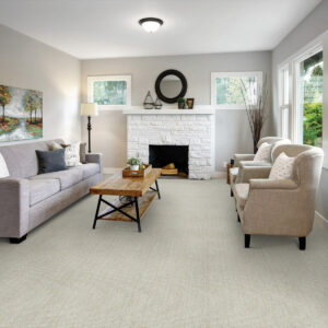 Soft Carpet | Johnson Floor & Home