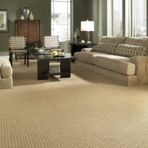 Carpet Inspiration | Johnson Floor & Home