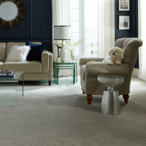 Formal Carpet | Johnson Floor & Home