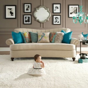 Plush Carpet | Johnson Floor & Home