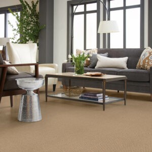 Chic Carpet | Johnson Floor & Home