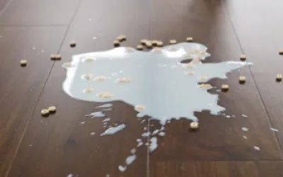 Waterproof flooring | Johnson Floor & Home