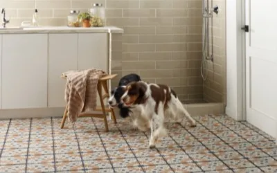 Pet perfect tile | Johnson Floor & Home